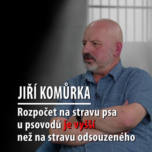 Motýl za katrem
